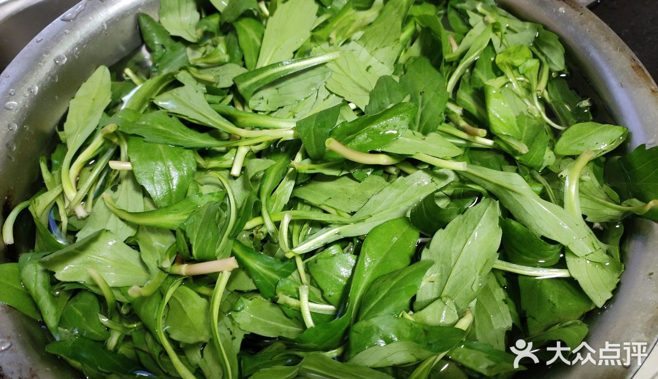 [调皮]春日限定美味食单‖凉拌马兰头香干