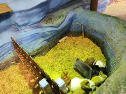 点击看大图 -酷嗒动物文化乐园(cutezoo西溪乐天城店)