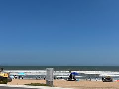 -日照海滨国家森林公园