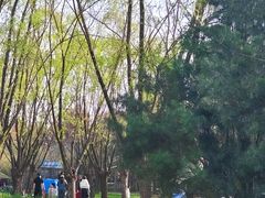 -洨河生态公园