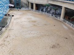 -迪卡侬(安德门店)