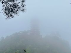 -缙云山景区