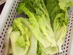 -麻奢鸽农庄·梦里水乡