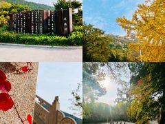 -青岛崂山太清宫