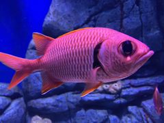 -成都浩海立方海洋公园