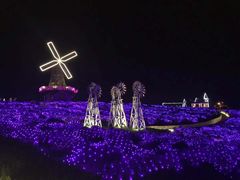 -大塘金香草谷