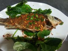 马帮烤鱼-民食香·腊排骨野生菌美食(木府店)