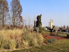 -盐城丹顶鹤湿地生态旅游区