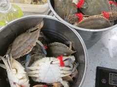 -仙螺岛海鲜自助餐厅(总店)