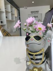 -JNK皮肤管理中心