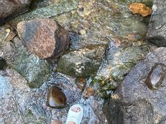 -广州白江湖森林公园