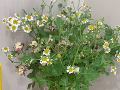 -素禅棋牌会所(海阳路店)