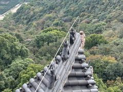 -杭州半山国家森林公园
