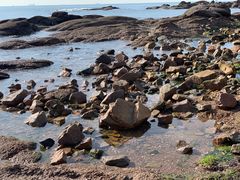 -青岛得宝湾维景国际大酒店(五四广场奥帆中心店)