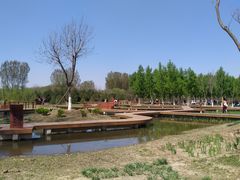 -东郊湿地公园