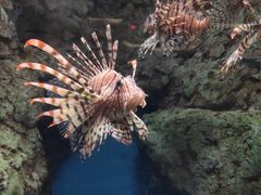 -福州罗源湾海洋世界旅游区