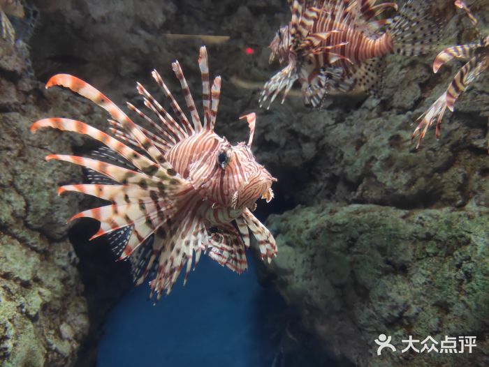 福州罗源湾海洋世界旅游区图片