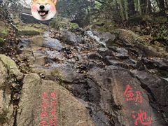 -莫干山风景区