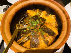 -甄御•海鲜新青岛菜(麦岛店)