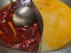 -麻田会 ·鲜活现烹·牛蛙火锅(珠江新城维家思广场店)