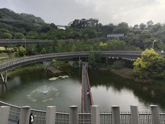 -福道