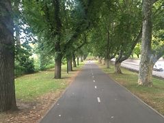 -墨尔本皇家植物园