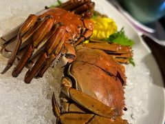 枸杞菊花醉六月黄-蟹榭·本帮江浙菜·蟹宴(五角场合生汇商场店)