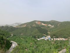 -晨汐石苑·清真菜农家院