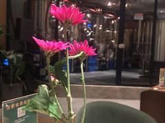 -Ambra Haus琥珀屋精酿餐厅(宝山店)