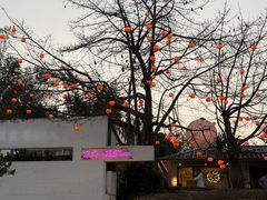 -凤阁楼果木烧鹅(鹤山陈山店)