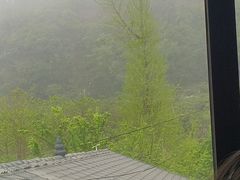 -桃源山庄·摘樱桃·柴火鸡·烧烤团建(龙泉山店)