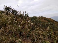 -梧桐山风景名胜区