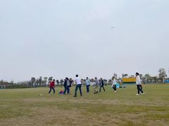 -春花秋色城市公园