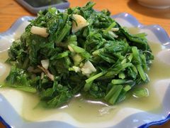 -杨家堂村