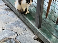 -北京水岸山吧度假村(雁栖镇店)