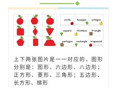 -北京第二实验小学