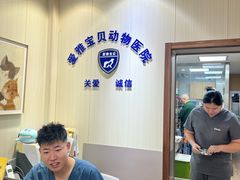 -中农大我爱我爱24h动物医院·中医针灸·猫专科·骨科医疗中心(双井店)