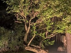 -杭州君悦酒店