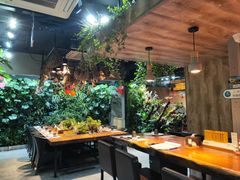 -森味薪火烧•烧鸟居酒屋•日本料理(望京店)