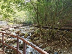 -九龙潭景区