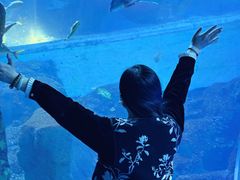 -威海华夏城景区