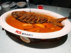-阿五黄河大鲤鱼(纬三路店)
