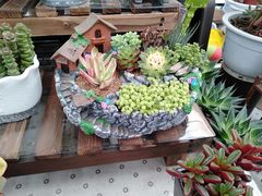 -秦美花卉(天朗·莱茵小城2期店)