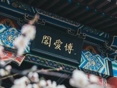 -梅花山(明孝陵内)