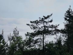 -井冈山风景名胜区