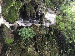 藏龙百瀑-藏龙百瀑风景区