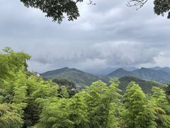 -莫干山风景区