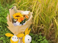 -光明小镇欢乐田园