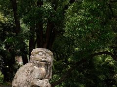 -报恩寺(平武县)