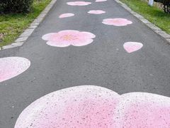 -南京市溧水区傅家边梅花山弄山庄